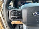 2024 Ford F-350 Crew Cab DRW 4WD Pickup for sale #6254459A11 - photo 30