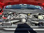 2026 Ford F-250 Crew Cab 4WD Royal Mechanics Body for sale #6259528F - photo 8