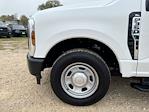 2024 Ford F-350 Regular Cab SRW RWD Pickup for sale #C500128 - photo 1