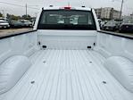 2024 Ford F-350 Regular Cab SRW RWD Pickup for sale #C500128 - photo 2
