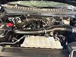 2024 Ford Expedition RWD SUV for sale #C923706 - photo 22