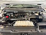 2024 Ford Expedition RWD SUV for sale #C923707 - photo 22