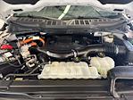 2021 Ford F-150 SuperCrew Cab 4WD Pickup for sale #C923745 - photo 21