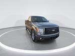 2011 Ford F-150 Regular Cab RWD Pickup for sale #C924006111 - photo 3