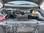 2011 Ford F-150 Regular Cab RWD Pickup for sale #C924006111 - photo 22