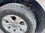 2011 Ford F-150 Regular Cab RWD Pickup for sale #C924006111 - photo 35