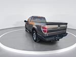 2011 Ford F-150 Regular Cab RWD Pickup for sale #C924006111 - photo 9