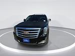 2017 Cadillac Escalade 4WD SUV for sale #C924097 - photo 5