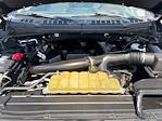 2019 Ford F-150 SuperCrew Cab 4WD Pickup for sale #C924099 - photo 22
