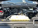 Used 2024 Ford F-150 STX SuperCrew Cab Pickup for sale #C924110 - photo 22