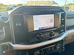 2023 Ford F-150 SuperCrew Cab RWD Pickup for sale #C924153 - photo 15