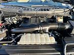 2023 Ford F-150 SuperCrew Cab RWD Pickup for sale #C924153 - photo 21
