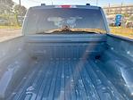 2023 Ford F-150 SuperCrew Cab RWD Pickup for sale #C924153 - photo 23