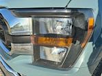 2023 Ford F-150 SuperCrew Cab RWD Pickup for sale #C924153 - photo 35