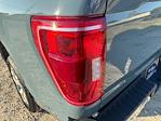 2023 Ford F-150 SuperCrew Cab RWD Pickup for sale #C924153 - photo 36