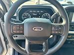 2023 Ford F-150 SuperCrew Cab RWD Pickup for sale #C924154 - photo 15