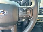 2023 Ford F-150 SuperCrew Cab RWD Pickup for sale #C924154 - photo 32