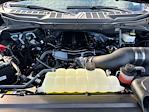 Used 2024 Ford F-150 XL Regular Cab for sale #C924299 - photo 21