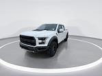 Used 2018 Ford F-150 Raptor SuperCrew Cab for sale #C924322 - photo 3