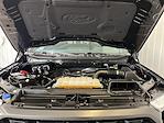 2022 Ford F-150 SuperCrew Cab 4WD Pickup for sale #P7900 - photo 29