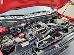 2024 Ford F-250 Crew Cab 4x4 Pickup for sale #24U0527A - photo 20