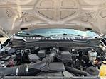 2022 Ford F-250 Crew Cab 4x4 Pickup for sale #25U1120A - photo 22