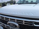New 2025 Ford F-600 Regular Cab 4x4 Cab Chassis for sale #25DC115 - photo 10