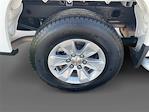 2024 Chevrolet Silverado 1500 Regular Cab 4x2 Pickup for sale #5D278P - photo 11