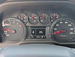 2024 Chevrolet Silverado 1500 Regular Cab 4x2 Pickup for sale #5D349P - photo 17
