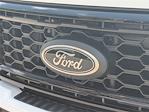 2025 Ford F-250 Crew Cab 4x4 Pickup for sale #5D350P - photo 9
