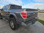 2014 Ford F-150 SuperCrew Cab 4WD Pickup for sale #P10948 - photo 4
