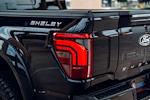 2025 Ford F-150 SuperCrew Cab 4x4 Pickup for sale #SFA97295 - photo 15