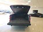 2023 Ford F-150 SuperCrew Cab 4WD Pickup for sale #SFB98538A - photo 9