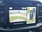 2024 Ford F-150 SuperCrew Cab 4WD Pickup for sale #SFC41839A - photo 16