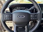 2024 Ford F-250 Crew Cab 4WD Pickup for sale #TED00024A - photo 14