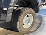 2025 Ford F-350 Crew Cab DRW 4WD Pickup for sale #TED49598A - photo 6