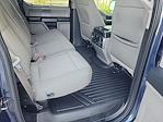 2019 Ford F-150 SuperCrew Cab 4x2 Pickup for sale #G188703B - photo 14