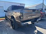 Used 2019 Ford F-150 Platinum SuperCrew Cab for sale #W335024B - photo 12