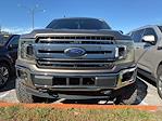 Used 2019 Ford F-150 Platinum SuperCrew Cab for sale #W335024B - photo 3