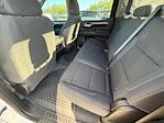 2023 Chevrolet Silverado 1500 Crew Cab 4WD Pickup for sale #552302B - photo 13