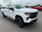 2024 Chevrolet Silverado 1500 Double Cab 4WD Pickup for sale #552812B - photo 8