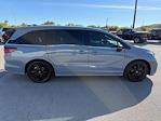 2023 Honda Odyssey FWD Minivan for sale #561464A - photo 7