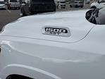 New 2025 Ram 1500 Big Horn Crew Cab 4x4 Pickup for sale #LCJ250188 - photo 12
