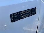 2001 Ford F-250 Regular Cab RWD Pickup for sale #P95252 - photo 9
