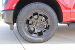 New 2025 Ford F-150 STX SuperCrew Cab for sale #SFB41217 - photo 16
