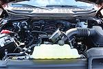 New 2025 Ford F-150 STX SuperCrew Cab for sale #SFB41217 - photo 18
