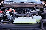 New 2025 Ford F-150 Platinum SuperCrew Cab for sale #SFC20147 - photo 22