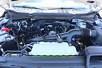 New 2025 Ford F-150 XLT SuperCrew Cab for sale #SKE02666 - photo 20