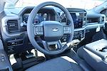 New 2025 Ford F-150 XL Regular Cab for sale #SKF79929 - photo 2