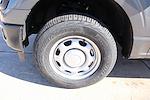 New 2025 Ford F-150 XL Regular Cab for sale #SKF80903 - photo 15